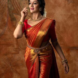 Bridal Sarees